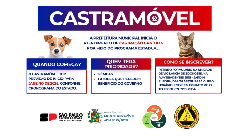 Clique para Visualizar